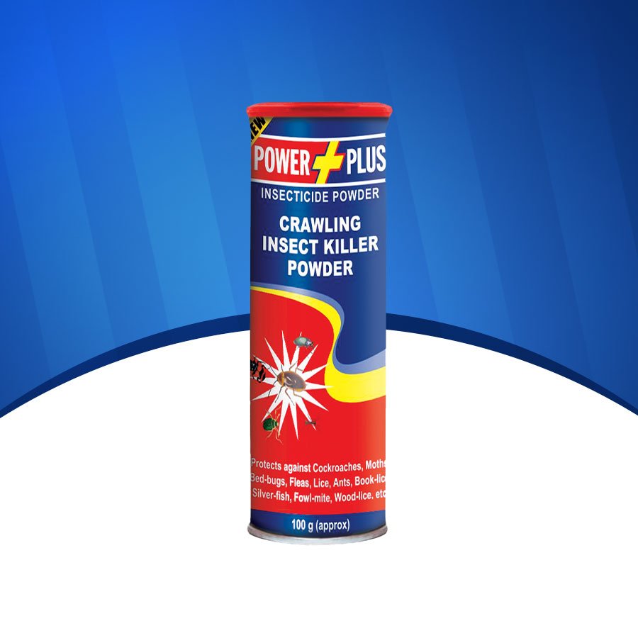 Insect Killer Powder