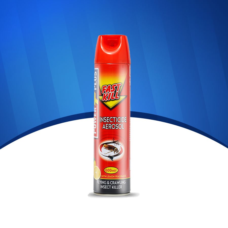 Insecticide Aerosol Flying & Crawling Insect